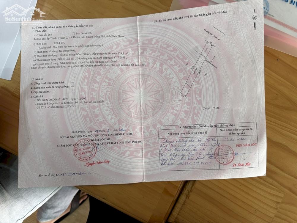 CHÍNH CHỦ CẦN BÁN GẤP LÔ ĐẤT MẶT TIỀN ĐƯỜNG DH ĐỒNG TÂM - THUẬN LỢI , ĐỒNG PHÚ, BÌNH PHƯỚC