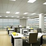 800m2