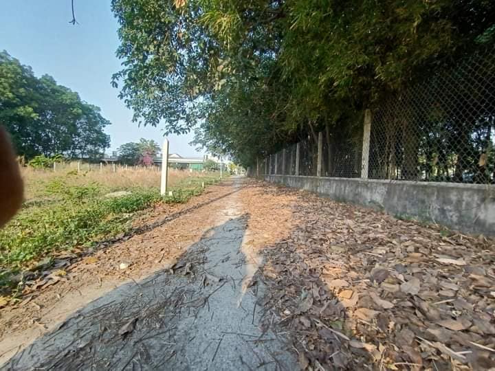 Đất thổ cư sổ riêng, giá rẻ tại Tp Thủ Dầu Một