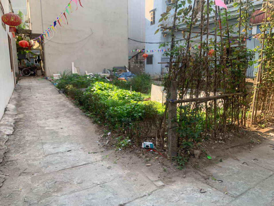 Nhà giá rẻ, La Khê, Hà Đông, 60m2, chỉ 4 tỷ nhích