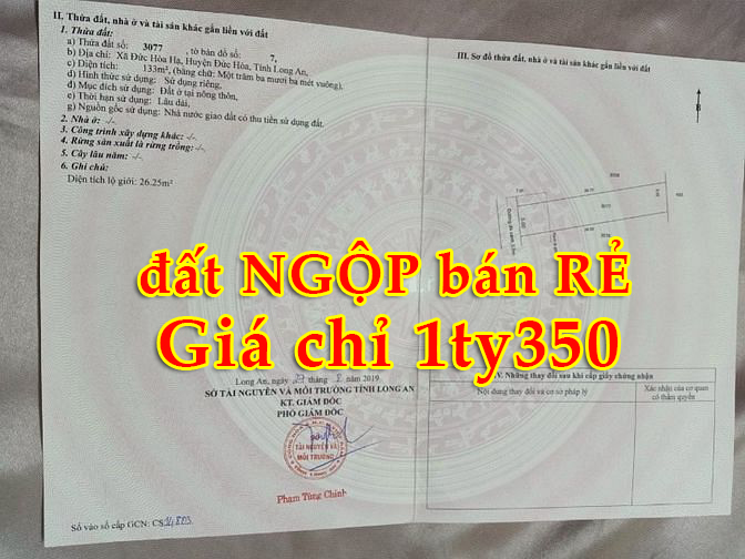 Đất NGỘP bán Rẻ chỉ 1ty350 , chính chủ bán đất Tân Đức,Tỉnh Lộ 10