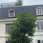  250m2 - 3