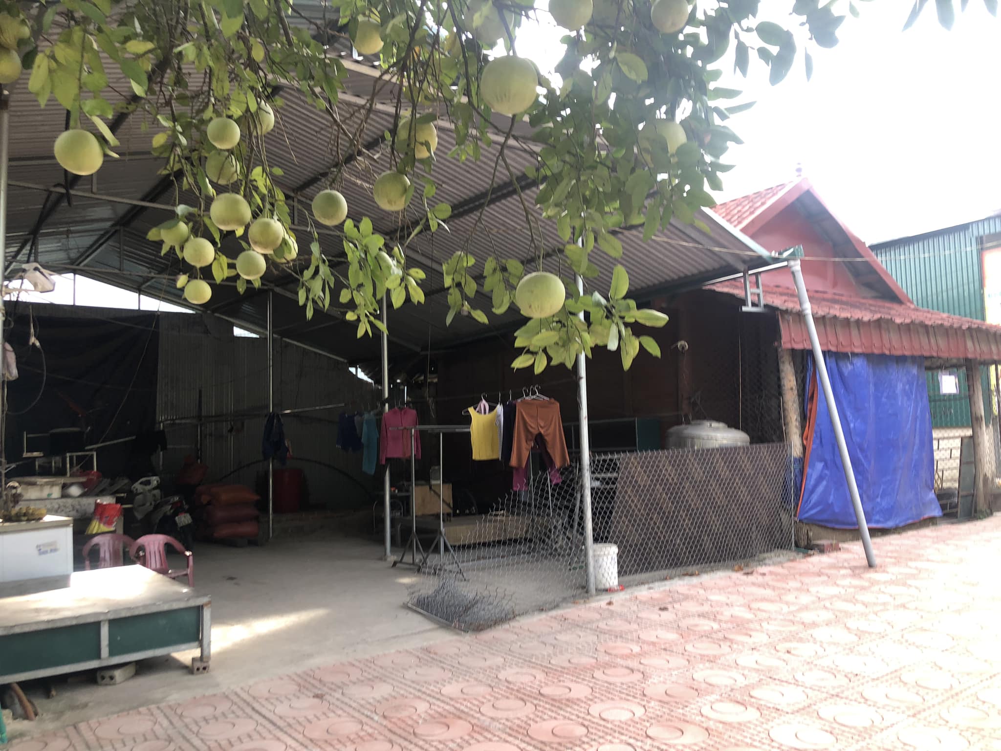 Gia đình cần bán mảnh đất tại tổ dân phố 01 thị trấn Mường Chà