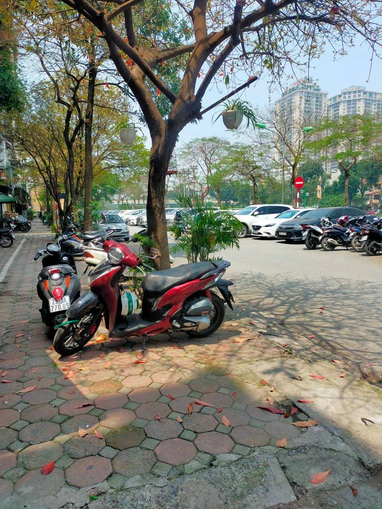 Bán nhà Nguyễn Ngọc Vũ, Cầu Giấy 80m2 x 4 tầng-10 tỷ, sát phố, ô tô đỗ, vừa ở vừa làm VP