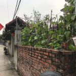  40m2 - 1