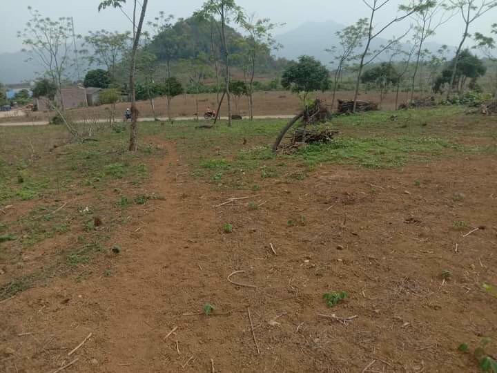 CHỦ CẦN BÁN MẢNH ĐẤT NÔNG NGHIỆP TẠI ĐÀ BẮC TP HÒA BINH, DIỆN TÍCH 1950M , GIÁ 350 TRIỆU