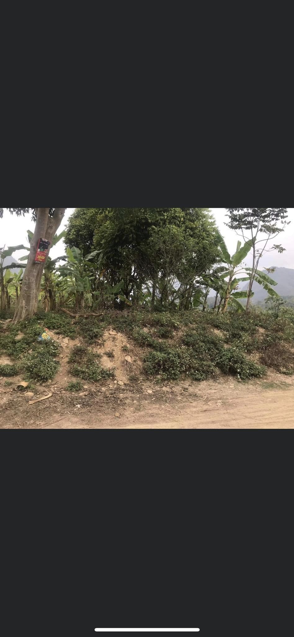 Bán đất gần hồ Hồng Khếnh, xã Thanh Hưng