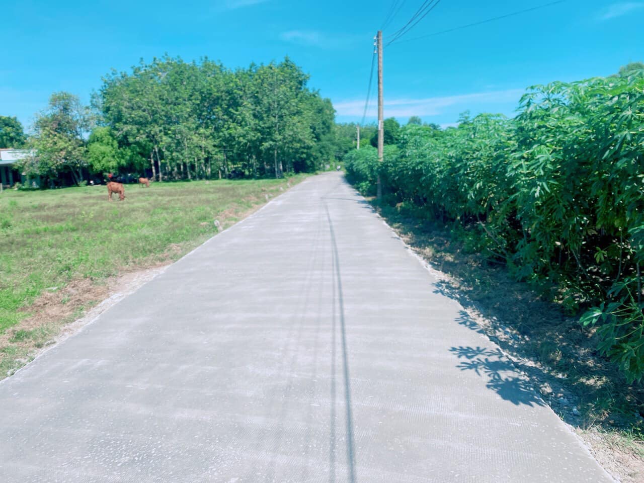 Đất Thổ Cư Gần KCN Phước Đông ( Thương Lượng )