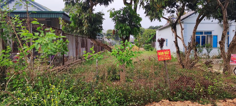 Gia đình cần bán mảnh đất tại tổ 10 phường Tân Thanh