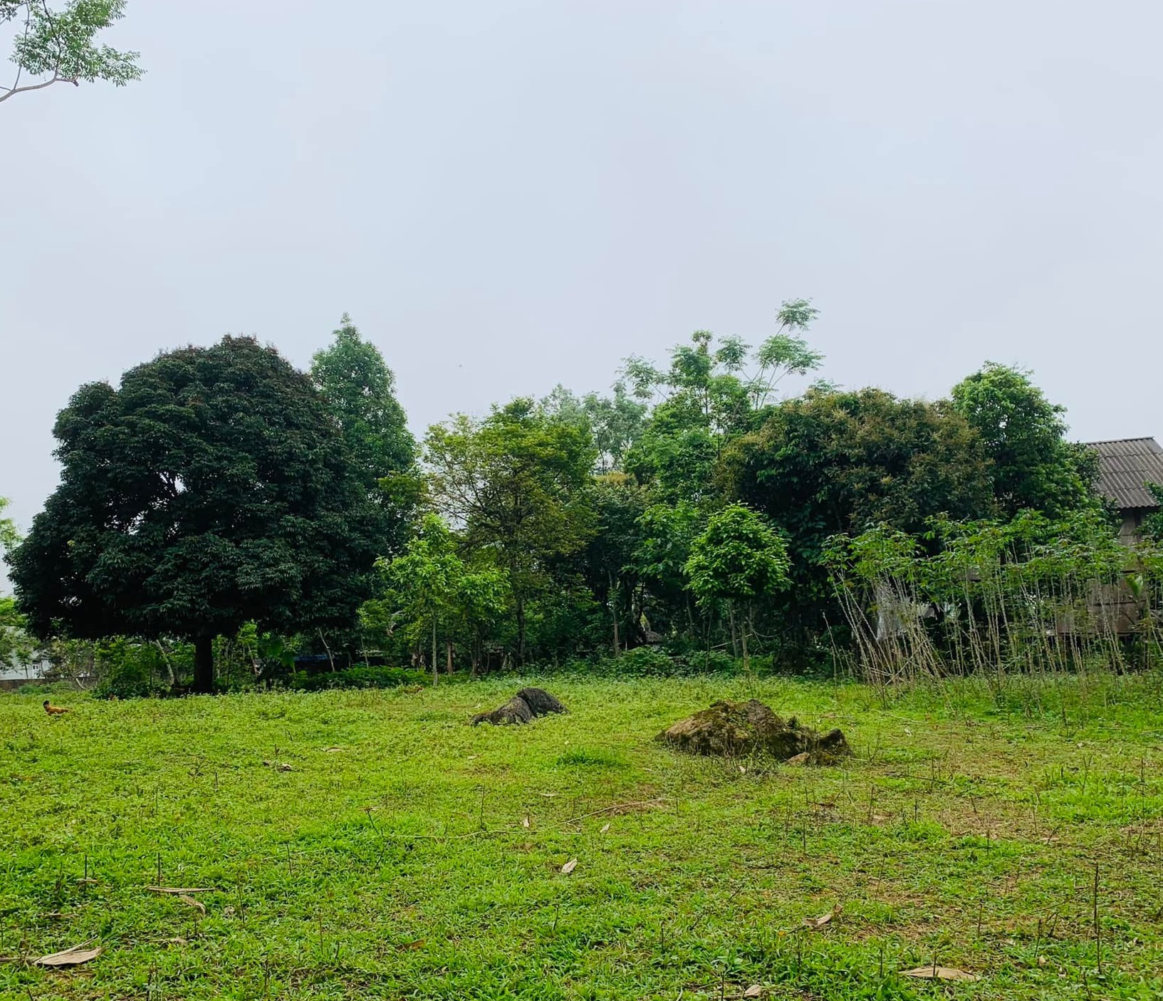 Đất giá chỉ ở thời điểm này ĐẤT MAI CHÂU 7500m2 có 350 ont chỉ 240k/m Các khu du lịch cộng đồng