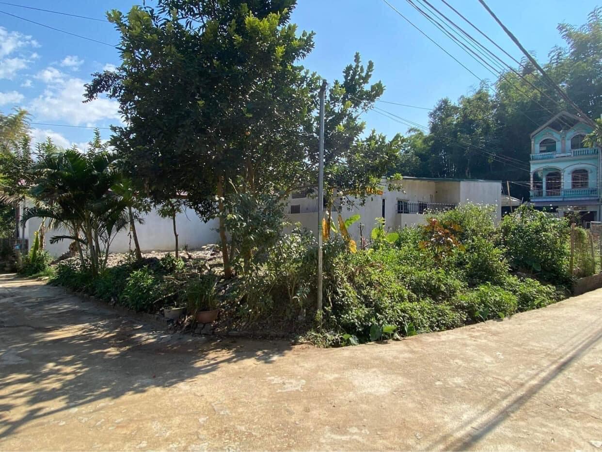 1500m2