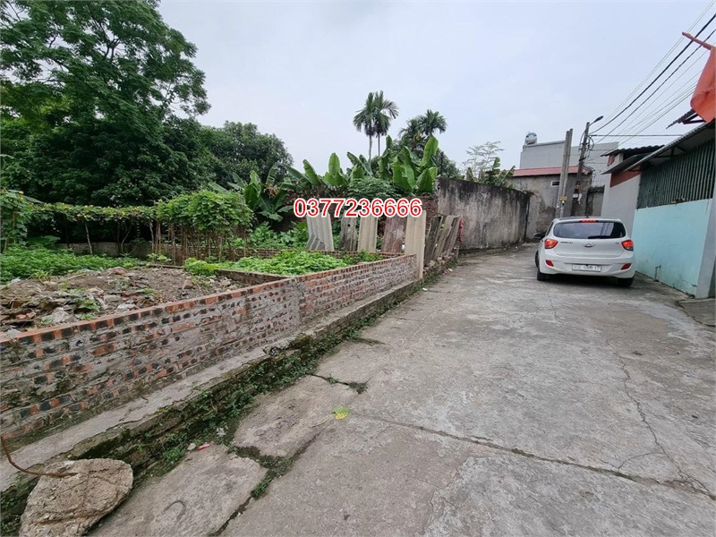 Nhỉnh 2 tỷ, Chủ gửi bán 61.9m đất đẹp trung tâm Cổ Dương, Tiên Dương, Đông Anh