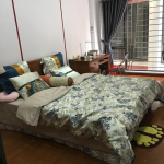  38m2 - 1