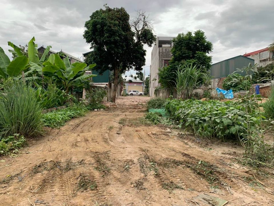 Mình cần bán mảnh đất gần trường cấp 3 Thanh Chăn - huyện ĐB