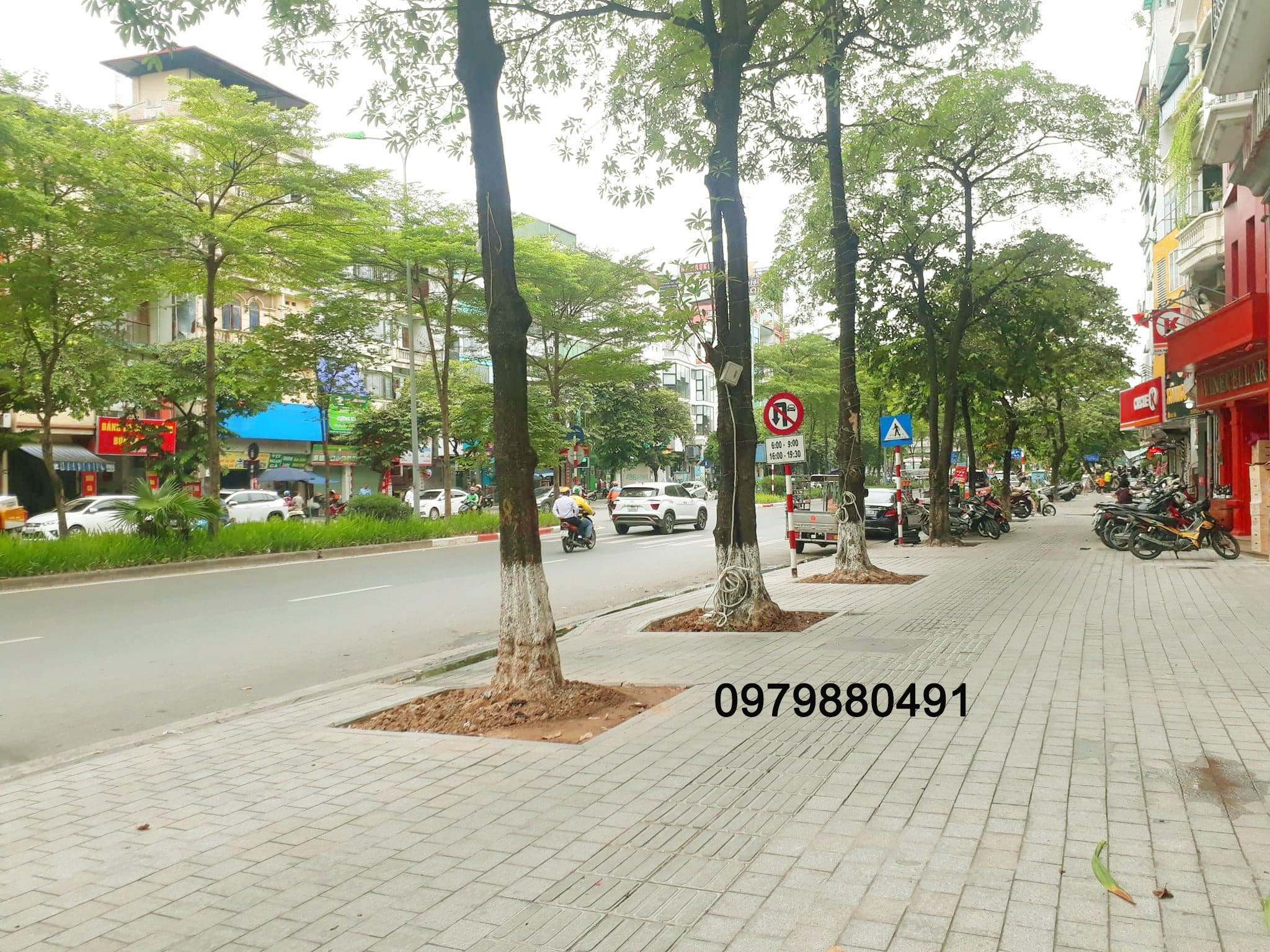 Bán nhà Phố Linh Lang – Quận Ba Đình. Phân lô, Oto tránh, 2 mặt ngõ. 65m2x5T. Giá: 13.5 tỷ