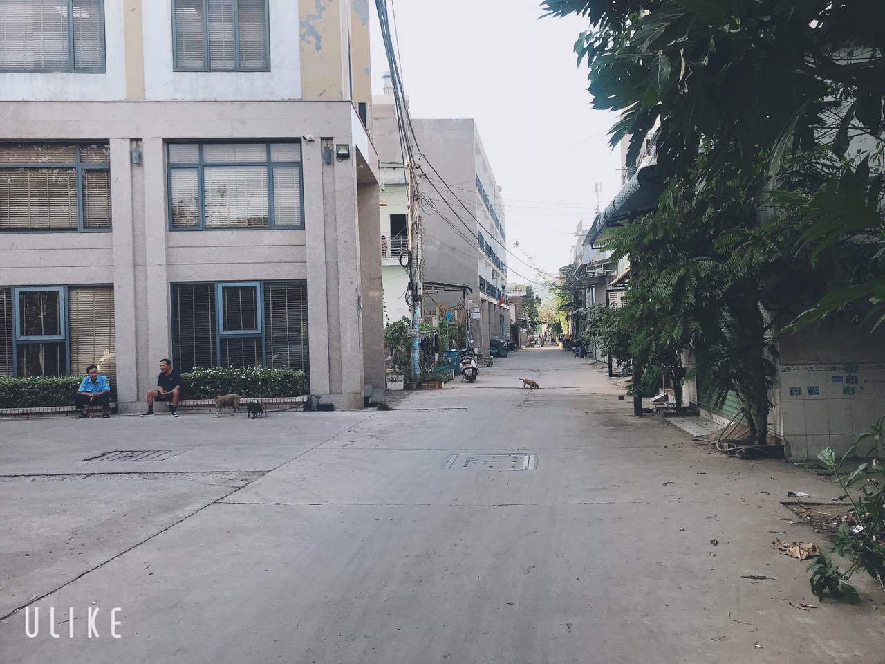  820m2