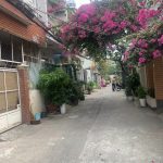  50m2 - 1