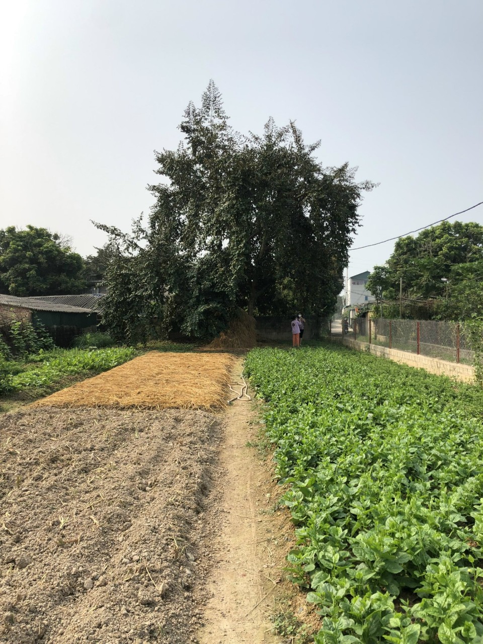 Cần bán mảnh đất tại bản Co Cáng - Phương Nam Thanh