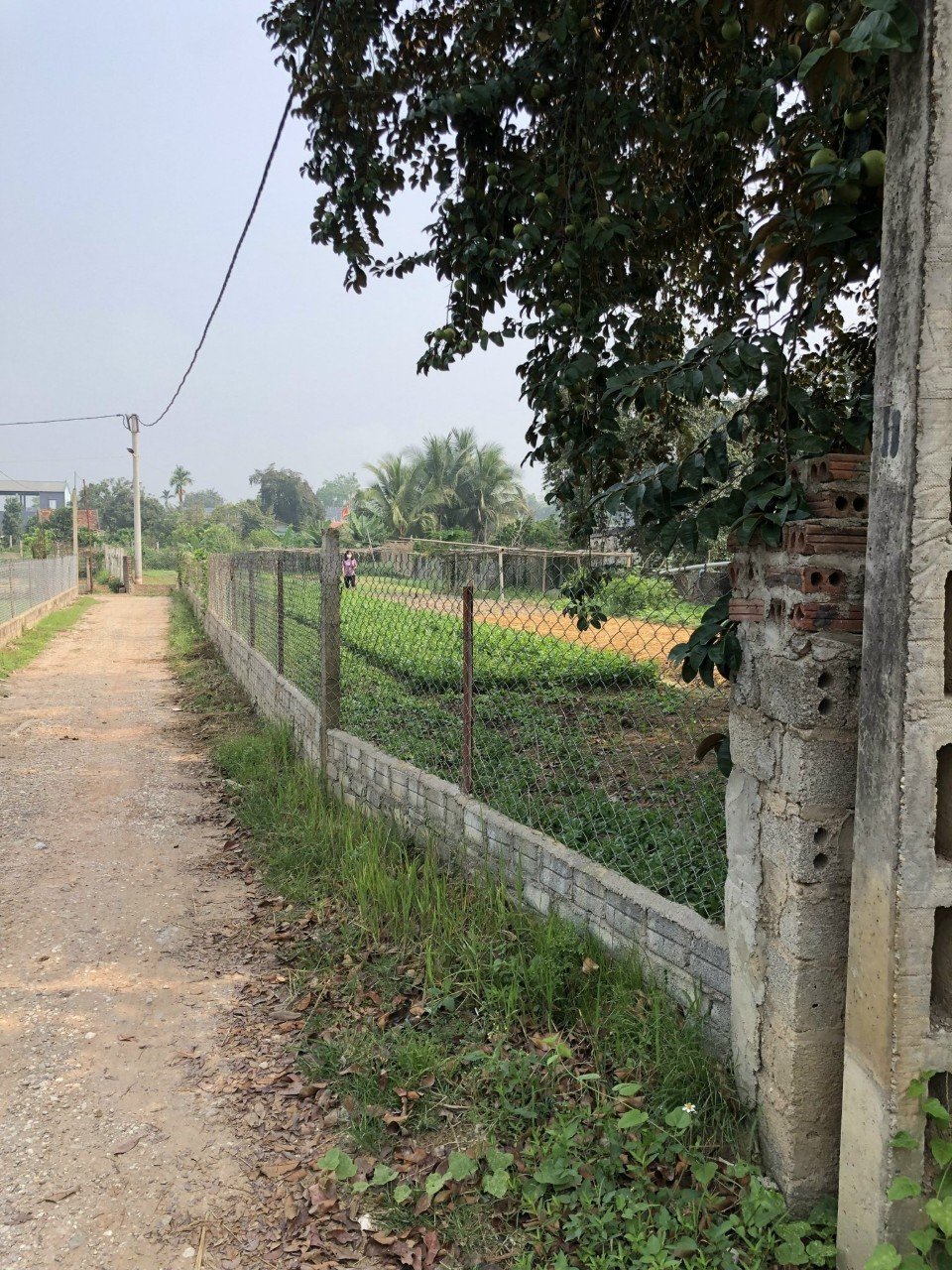 Bán mảnh đất bản Pa Lếch - xã Thanh Chăn - huyện Điện Biên.