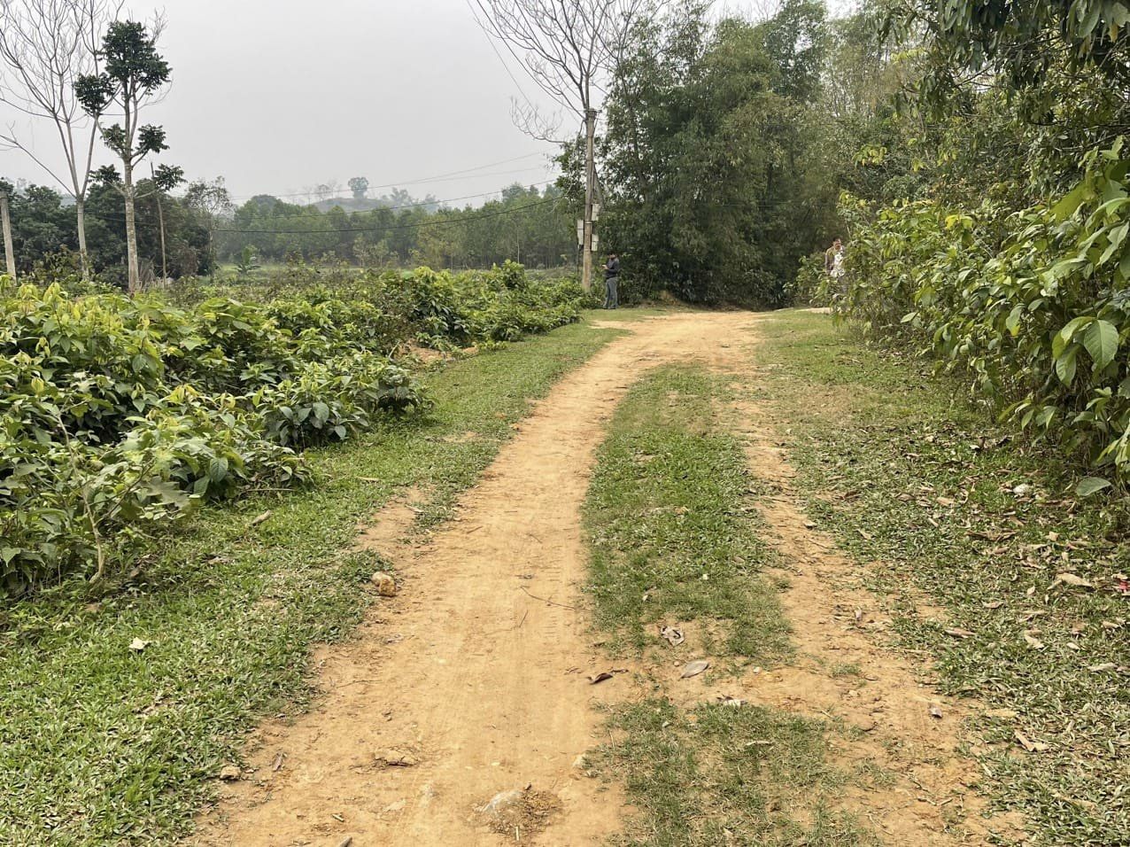 20 lô đất phân lô cho các nhà đầu tư95tr.lôThạch Thành, Thanh Hóa