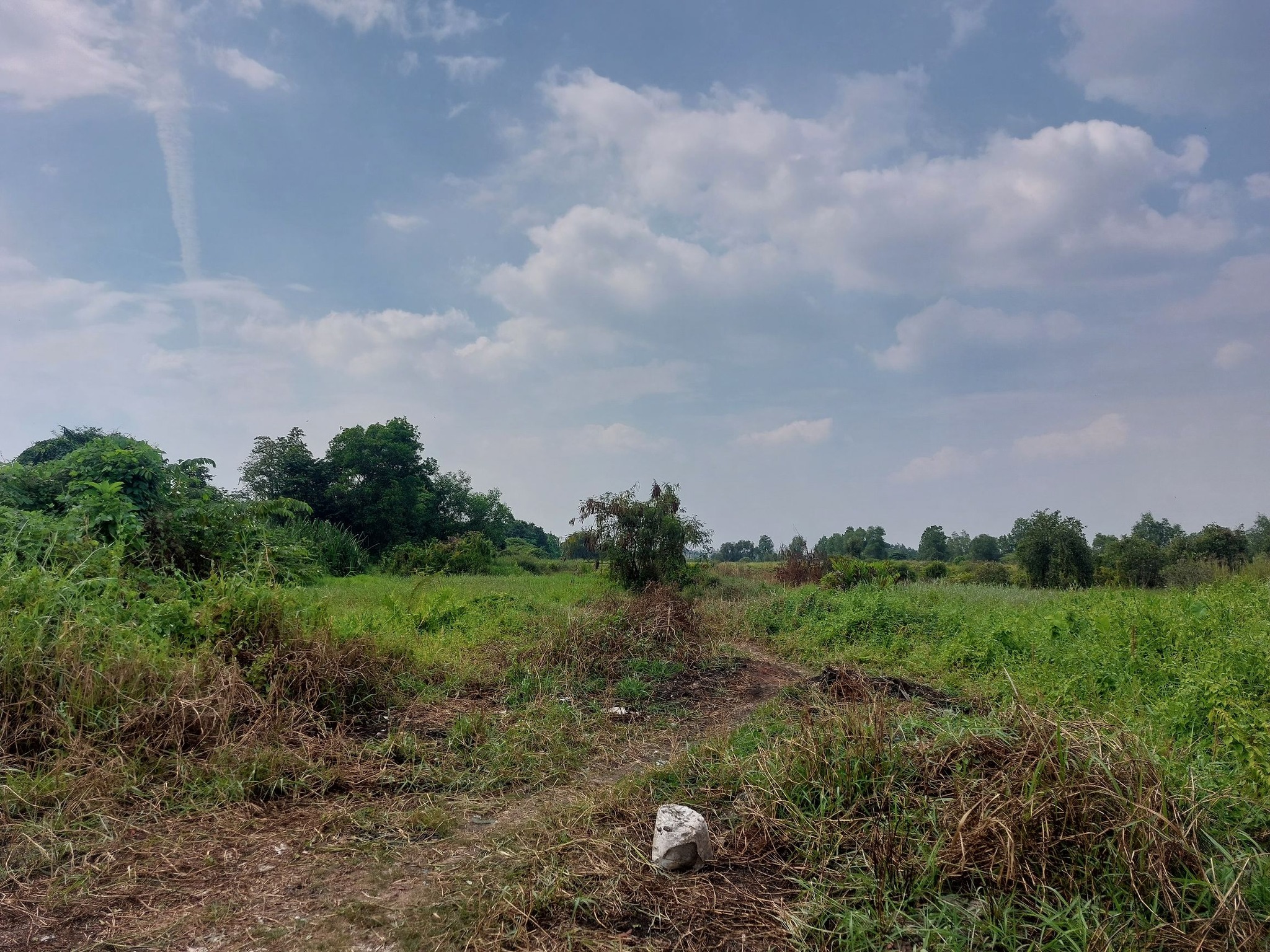 ĐẤT MẶT TIỀN VÕ VĂN BÍCH - CỦ CHI 20.000m2 ĐẤT CÓ 7500m2 THỔ CƯ