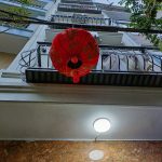 100m2 - 7