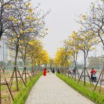  120m2 - 1