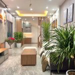  50m2 - 1