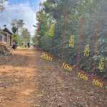  250m2