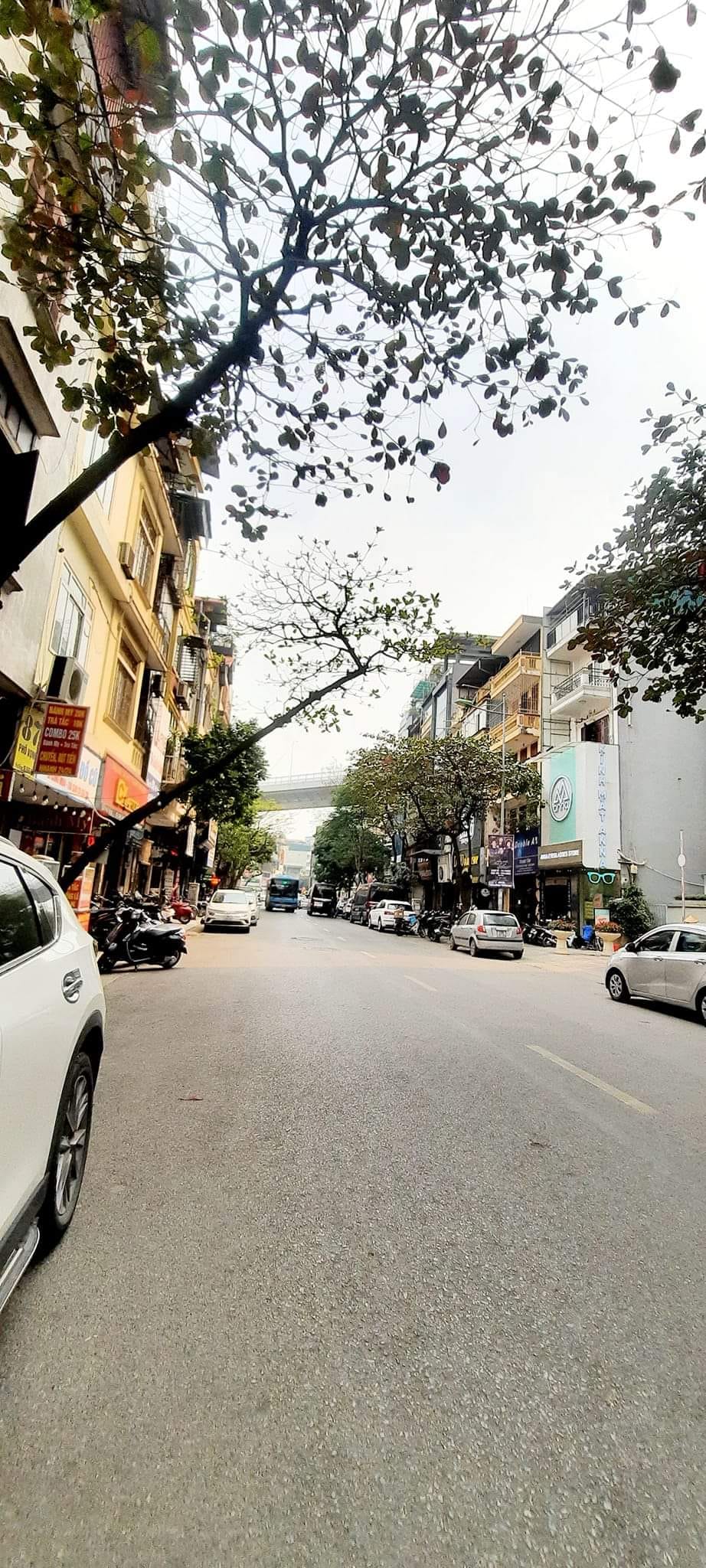 Bán Mặt Phố Tôn Đức Thắng 120m2 rẻ hơn thị trường 1 tỷ thiện chí bán có 5x tỷ