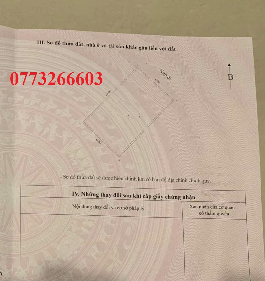 Bán nhà VIP ở ngay gar a ô tô phô Trần Quang Diêu Đống Đa Hà Nội.