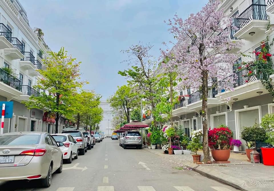 Bán nhà mặt phố quận Hoàn Kiếm giá đầu tư hơn 300tr/m2 siêu khủng 168m2 chỉ nhỉnh 54 tỷ