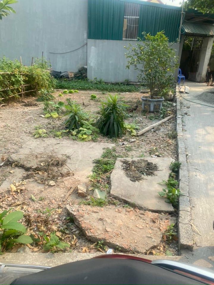 ĐÔNG MỸ - 55M - MT 4M - 2.3 TỶ - SÁT PHỐ - THÔNG SỐ CHUẨN - THỬA ĐẤT ĐẸP - KHU VỰC PHÁT TRIỂN TỪNG NGÀY