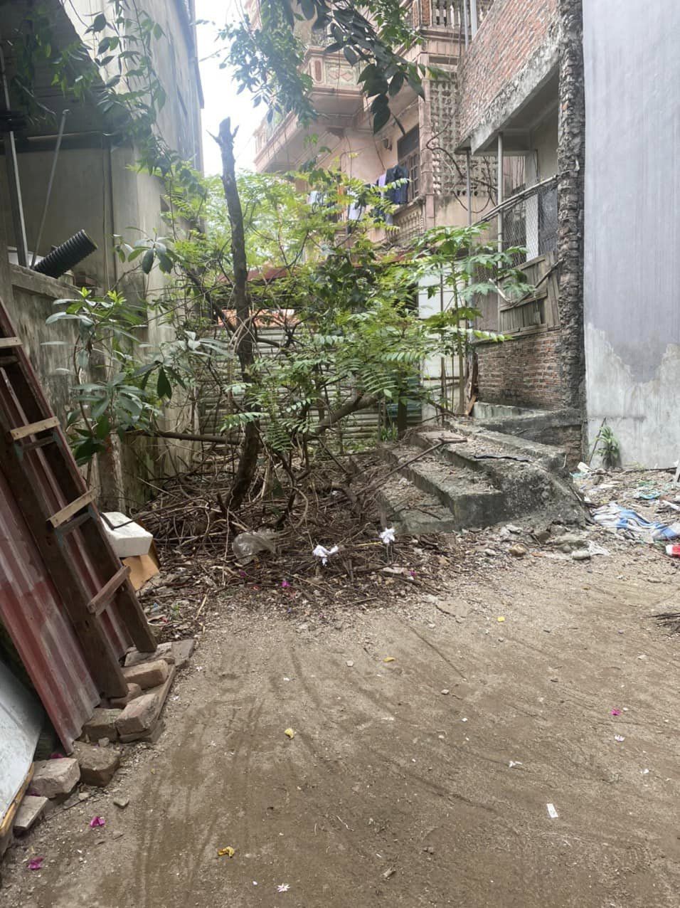 Bán Đất Xuân La 50M2 -10M Ra ôtô -Mặt Tiền 4.4M 6.3 Tỷ