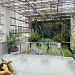  50m2 - 5