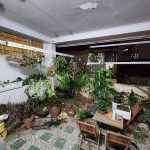  45m2 - 6