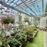  65m2 - 6
