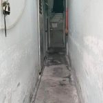  66m2 - 1