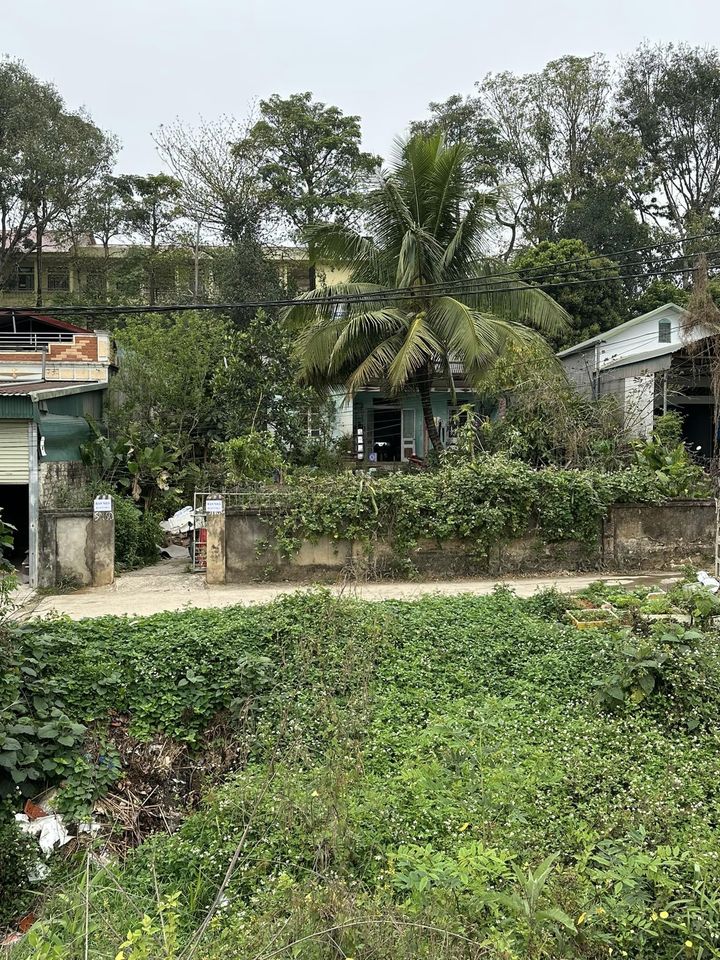 Bán đất tại trung tâm Pú Tỉu - huyện Điện Biên