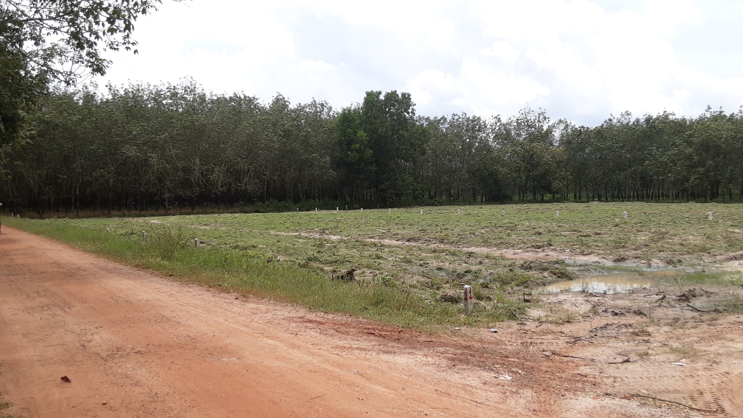 Chỉ có 250triệu sở hữu ngay lô đất đường DT795, Suối Dây, Tân Châu, Tây Ninh, DT 420m2.SHR