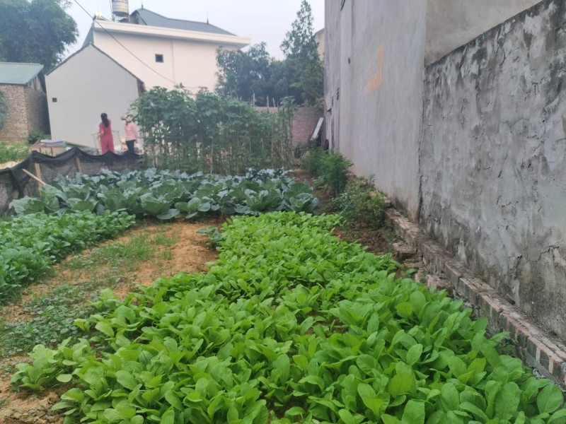 Cần bán đất thôn Cán Khê Nguyên Khê Đông Anh chỉ 2,8 tỷ với diện tích 75m2