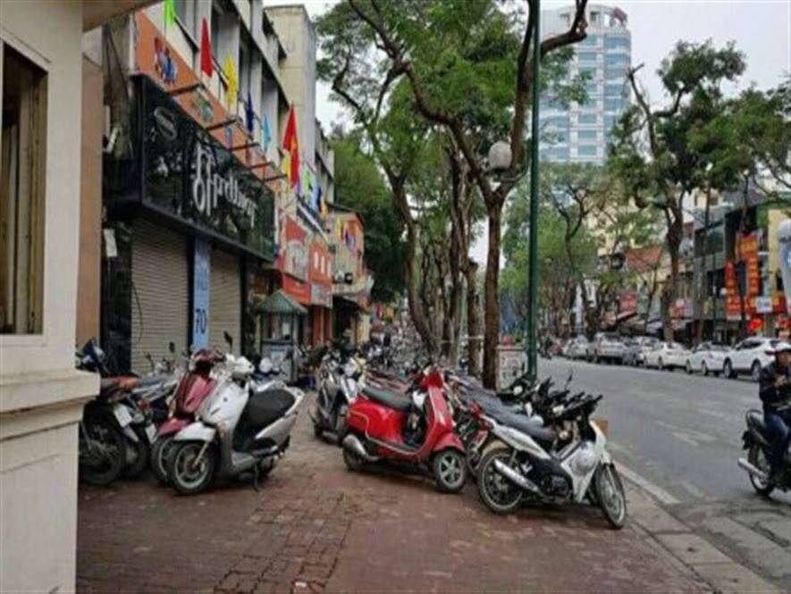 Phố VIp Trần Quang Diệu, 5m Ra Phố, Ngõ OTo, Cây Xanh Bóng Mát, An Sinh Đỉnh, 49m2x3,9m