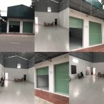  100m2