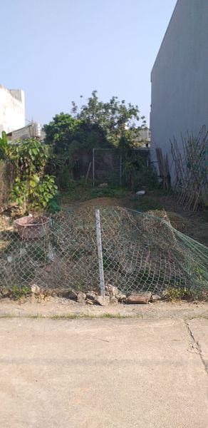 Cần tiền muốn bán gấp mảnh đất tại đội 19 xã Thanh Hưng.