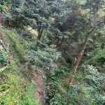  100000m2 - 5