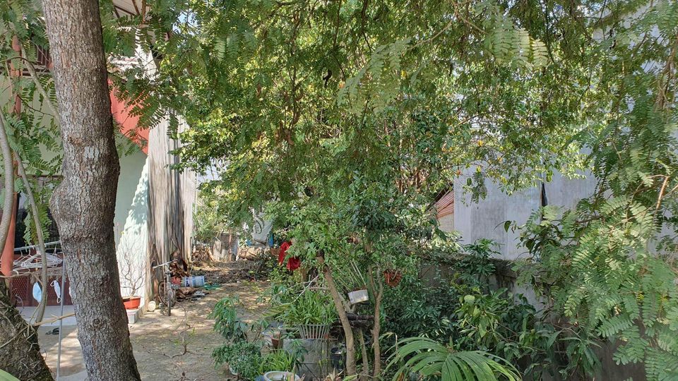 Cần tiền bán gấp Mảnh đất chính chủ tại đội 9, xã Pom Lót