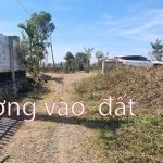  4700m2 - 3
