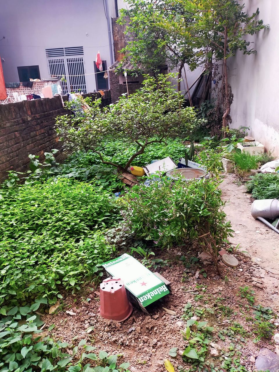 BÁN ĐẤT Ỷ LA DƯƠNG NỘI - NGÕ THÔNG - Ô TÔ ĐỖ 40M GIÁ 2.2 TỶ