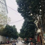 50m2