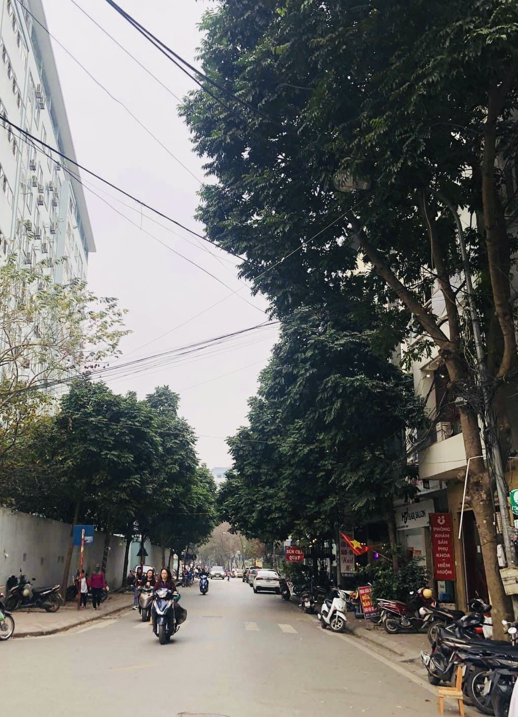 50m2